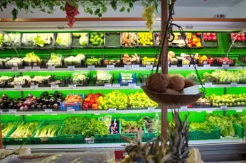 froyta6.jpg